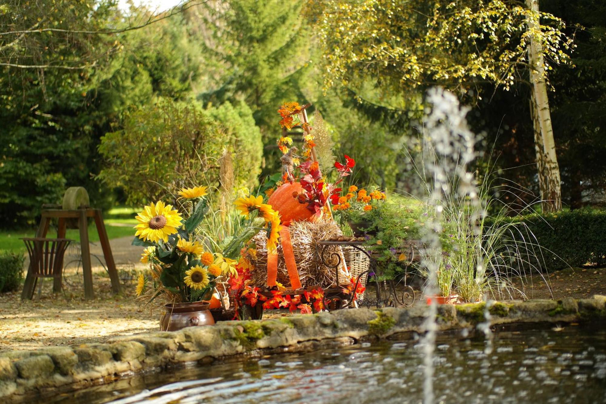 Harzer Feriengarten Кведлінбург Екстер'єр фото